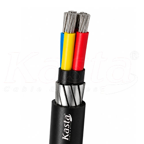 armered-cable